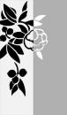   » Click to zoom ->