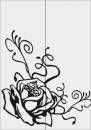  » Click to zoom ->