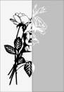   » Click to zoom ->