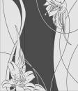   &raquo; Click to zoom ->