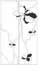   &raquo; Click to zoom ->
