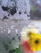 Турецкое узорчатое стекло